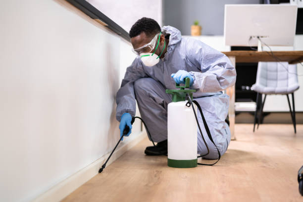 Professional Pest Control in Friars Point, MS